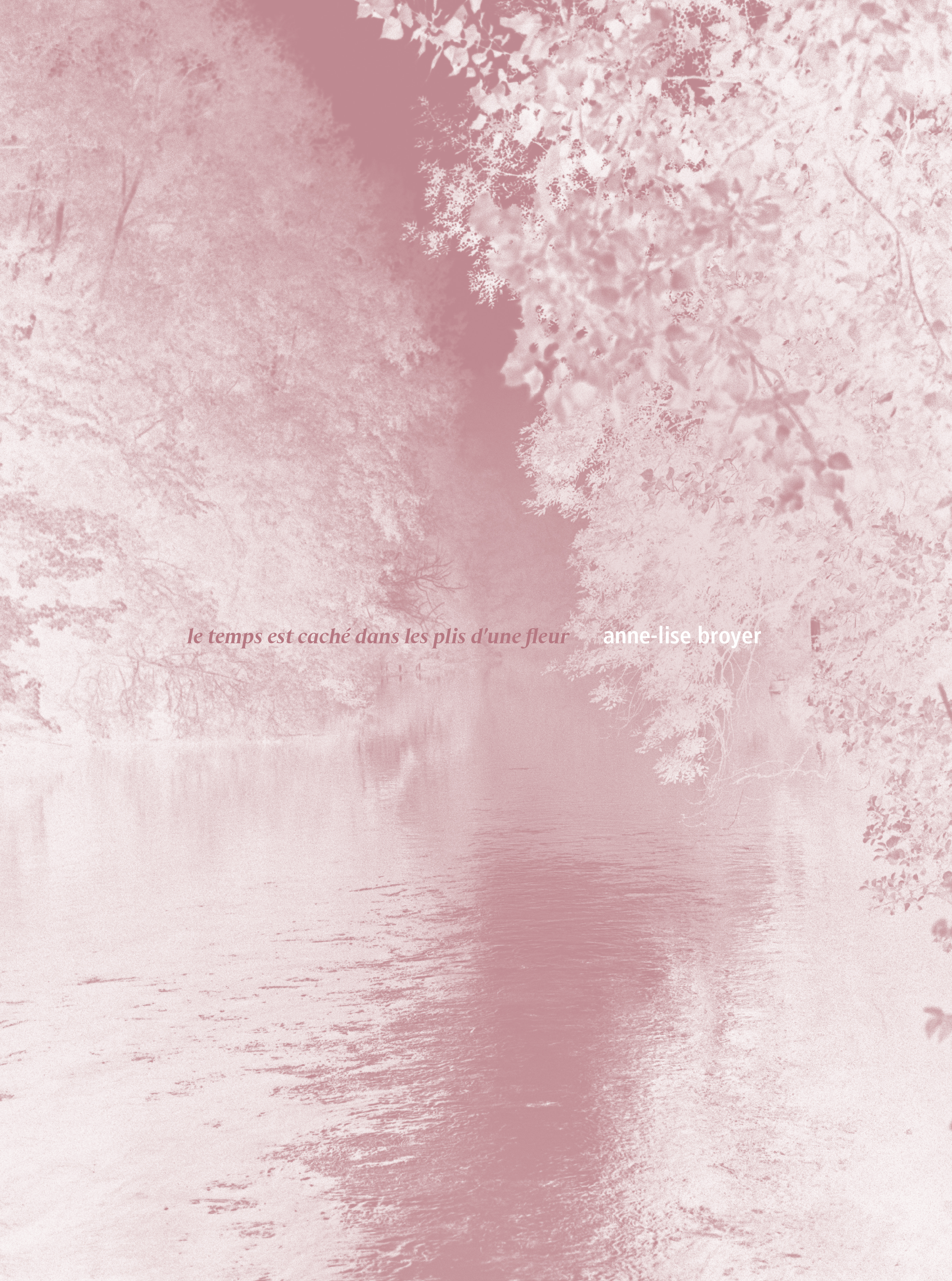 couverture AL BROYER maquette fab Livre Deauville.indd