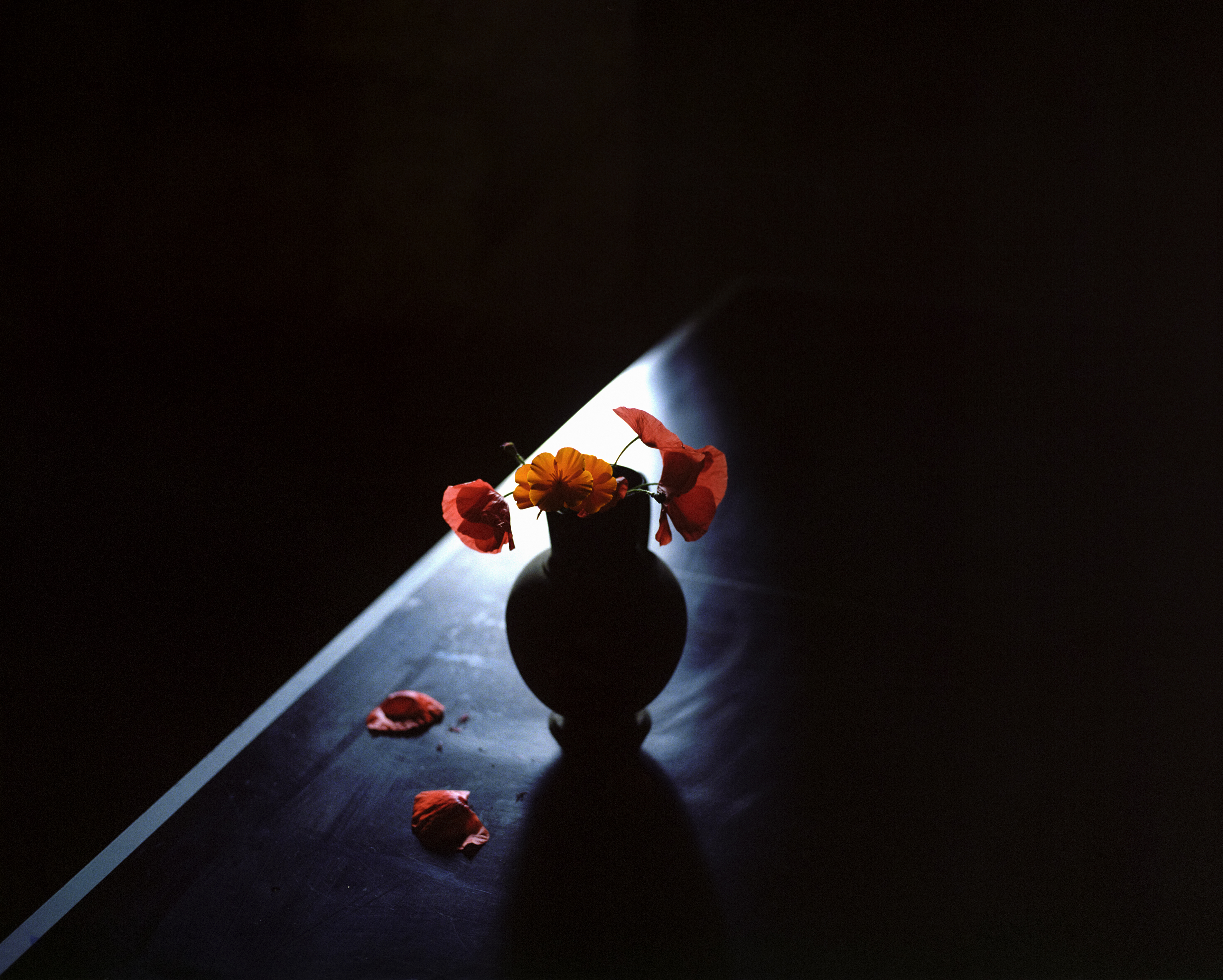 DILECTAE_AURELIAFREY_EPAIR_02