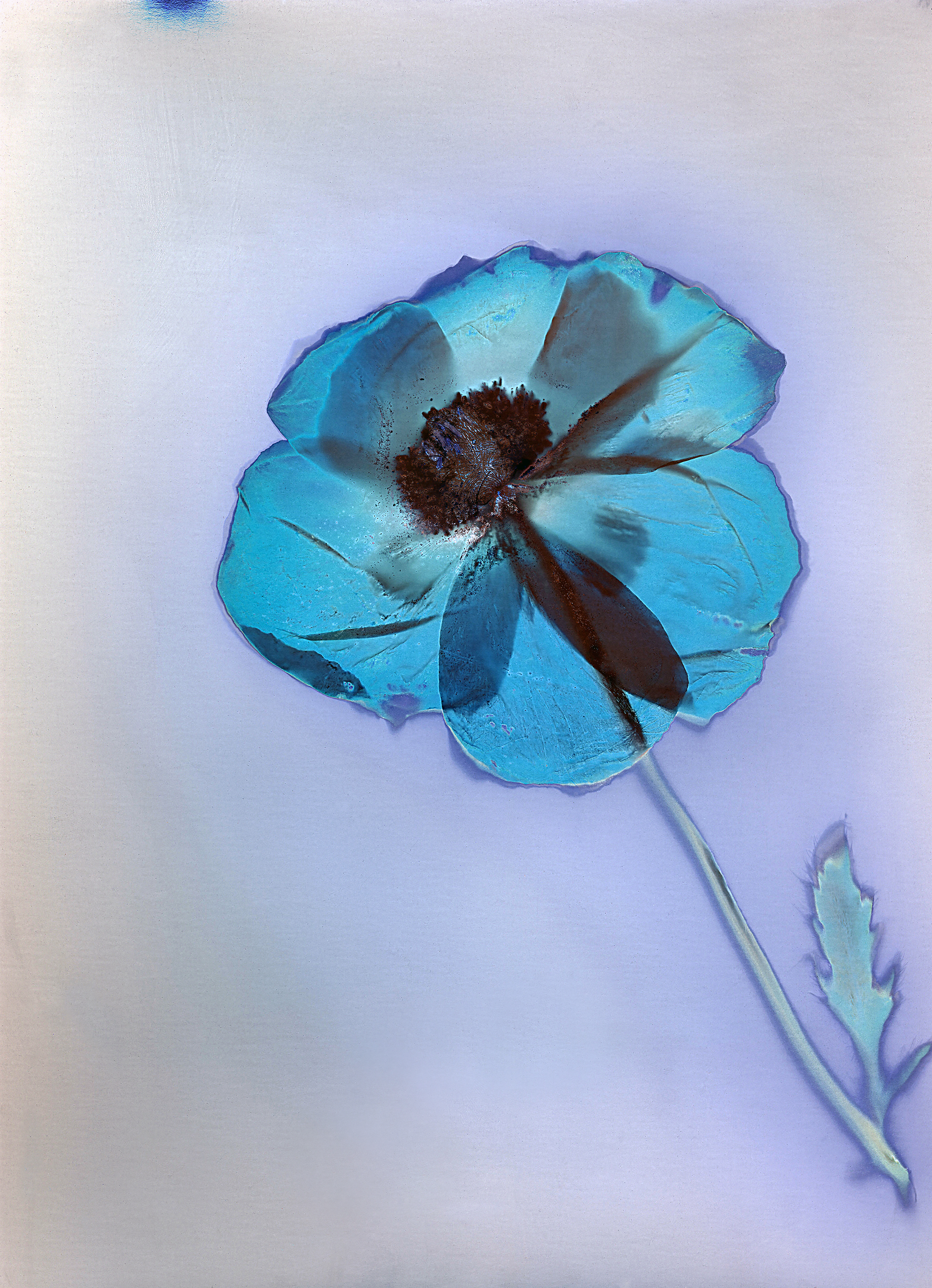 DILECTAE_AURELIAFREY_EPAIR_04