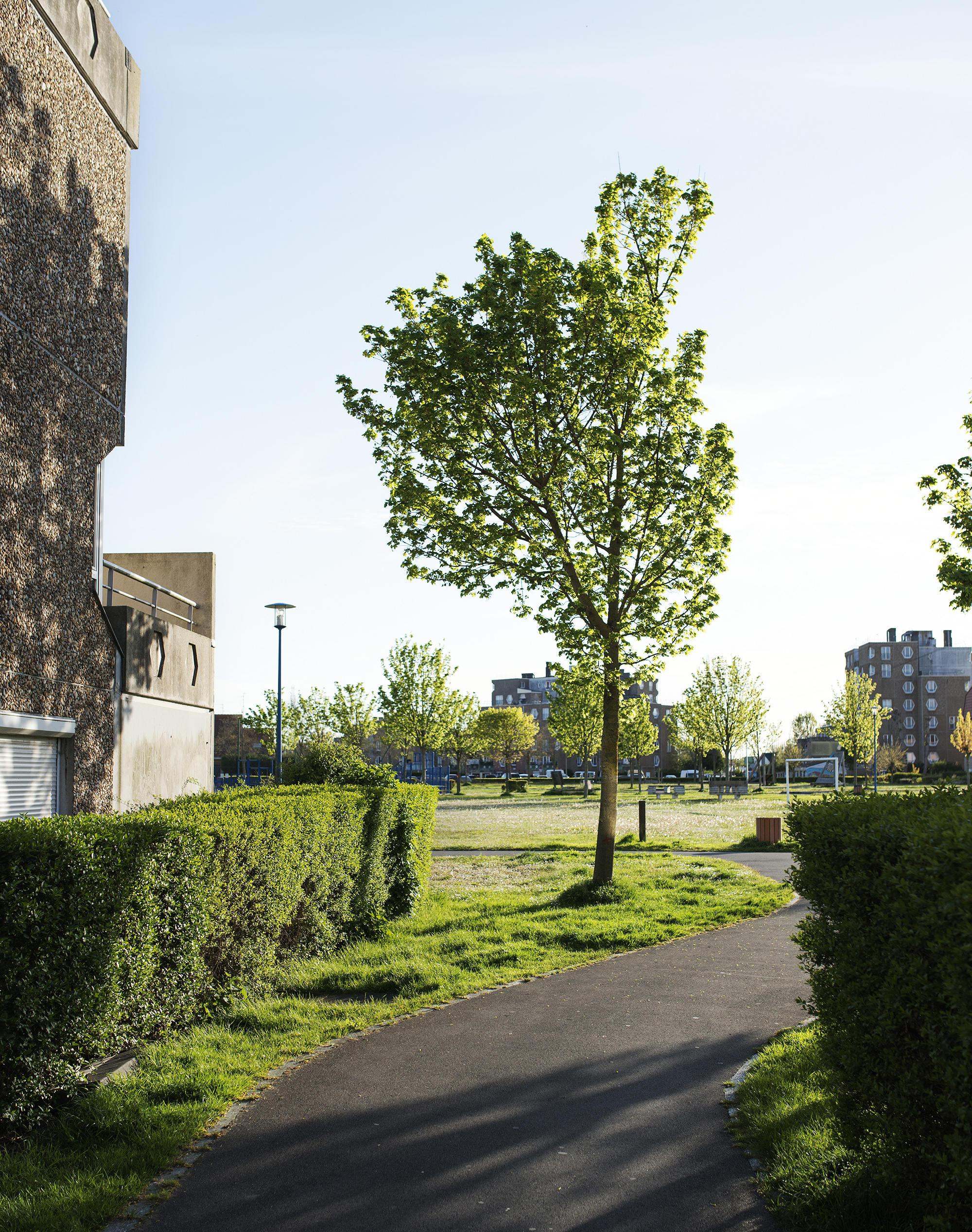 W40_DEGROOTE_N_GON5116