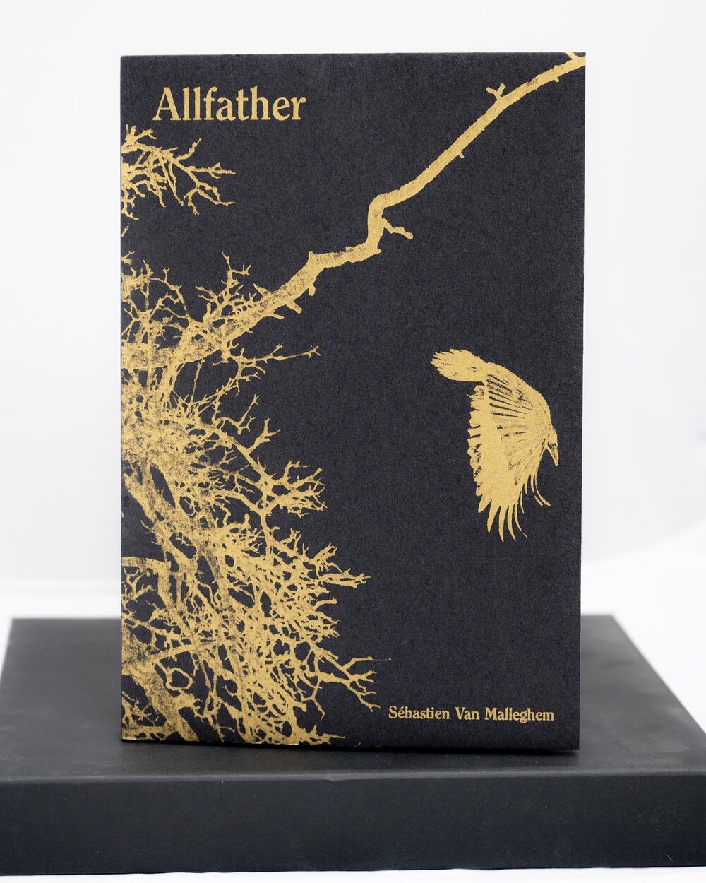 233498607_219657396834540_5281462684164406708_n