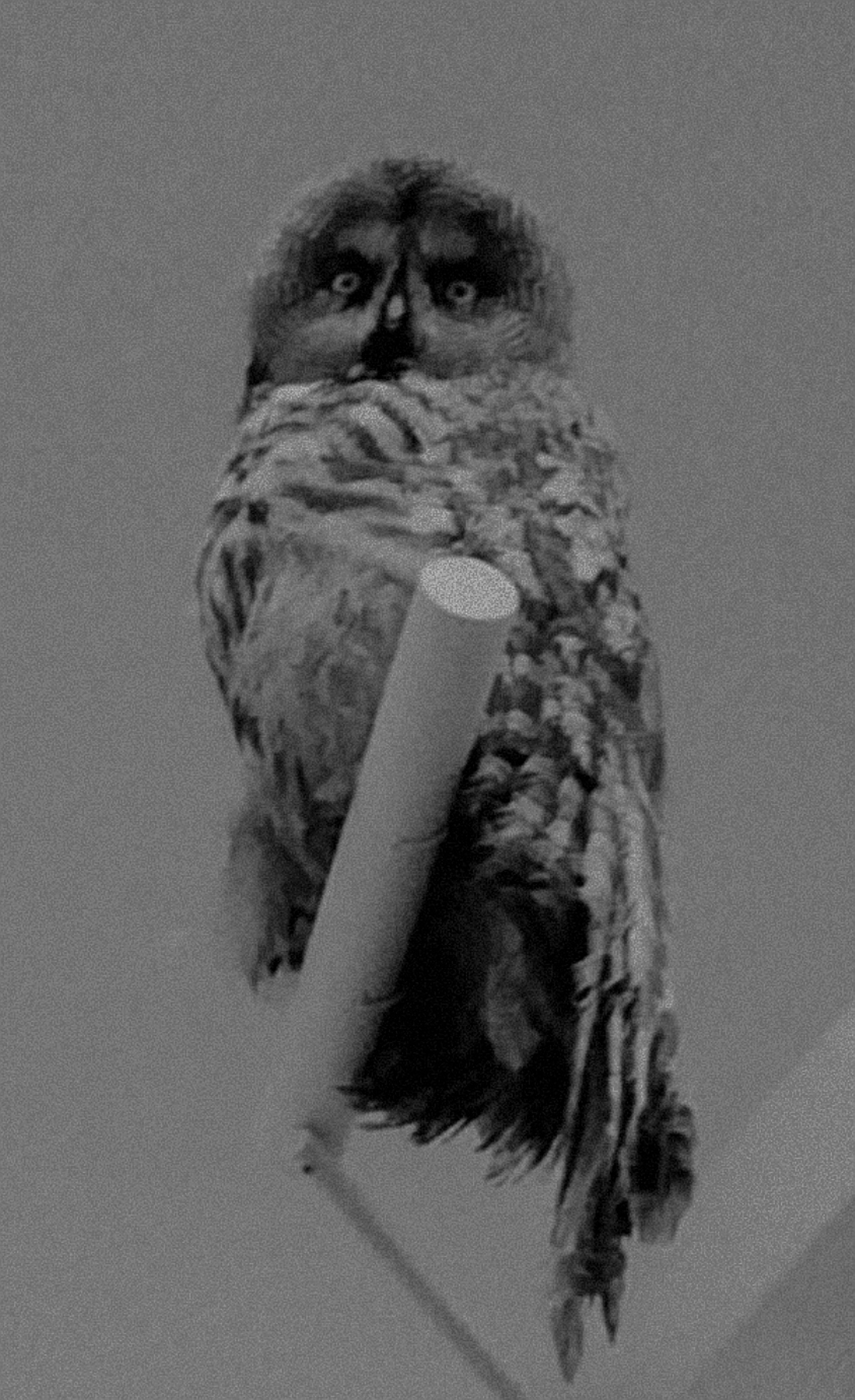 ©PaulineCaplet-103-55