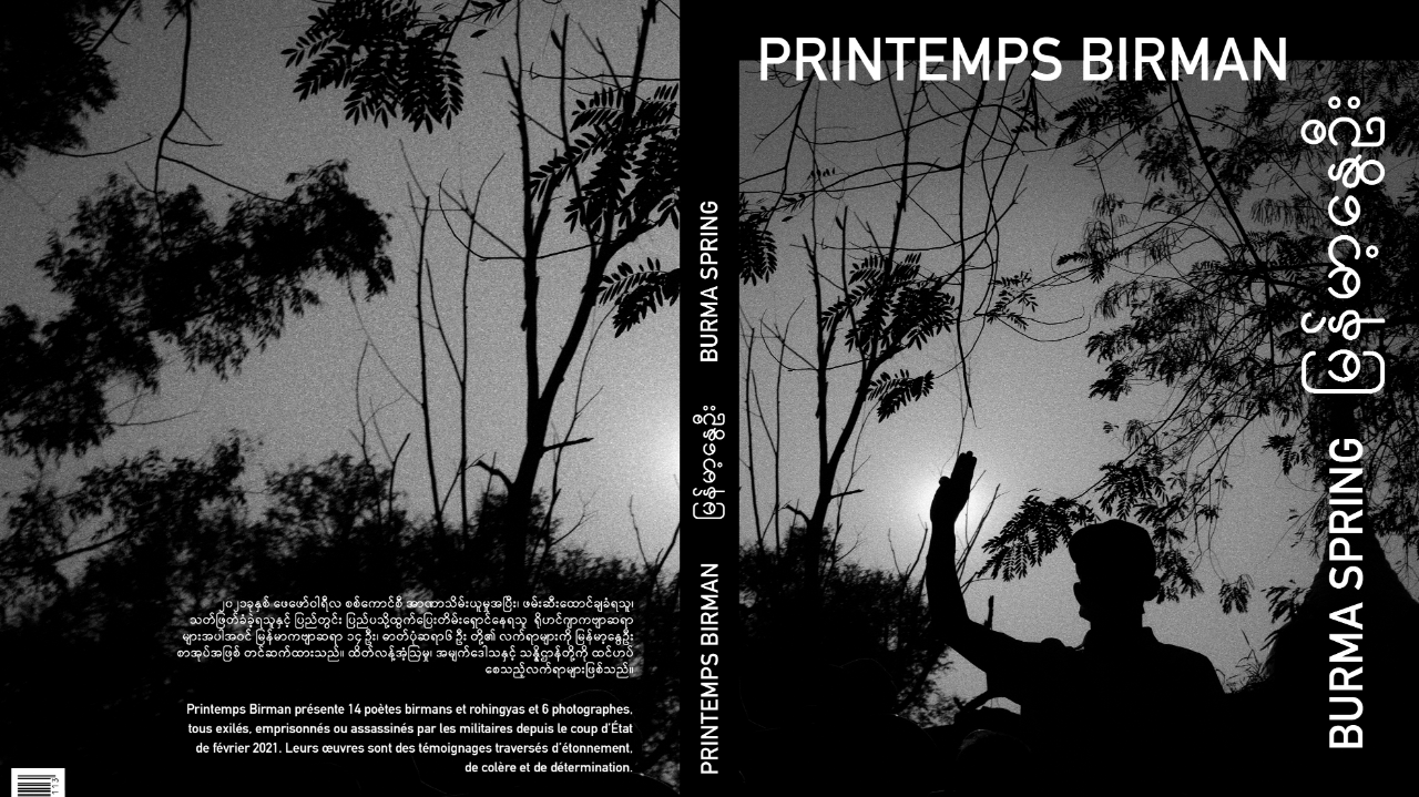 croppedimage-f04cf37c857041ecaea19112d7bdad2c