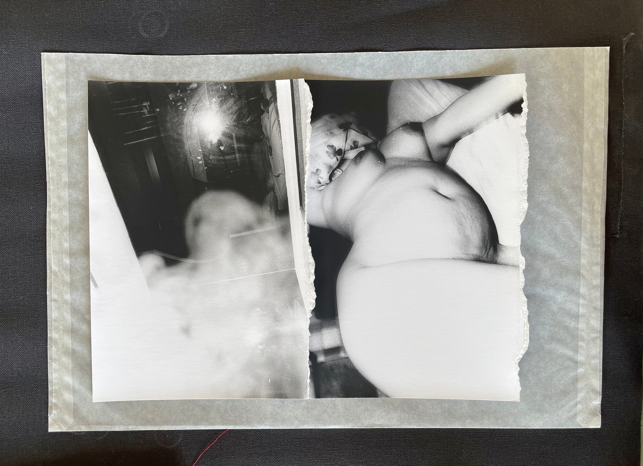 IMG_0803_1024x1024@2x