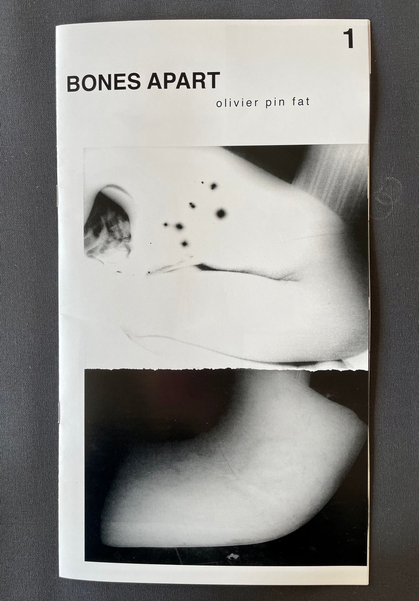 IMG_0806_1024x1024@2x