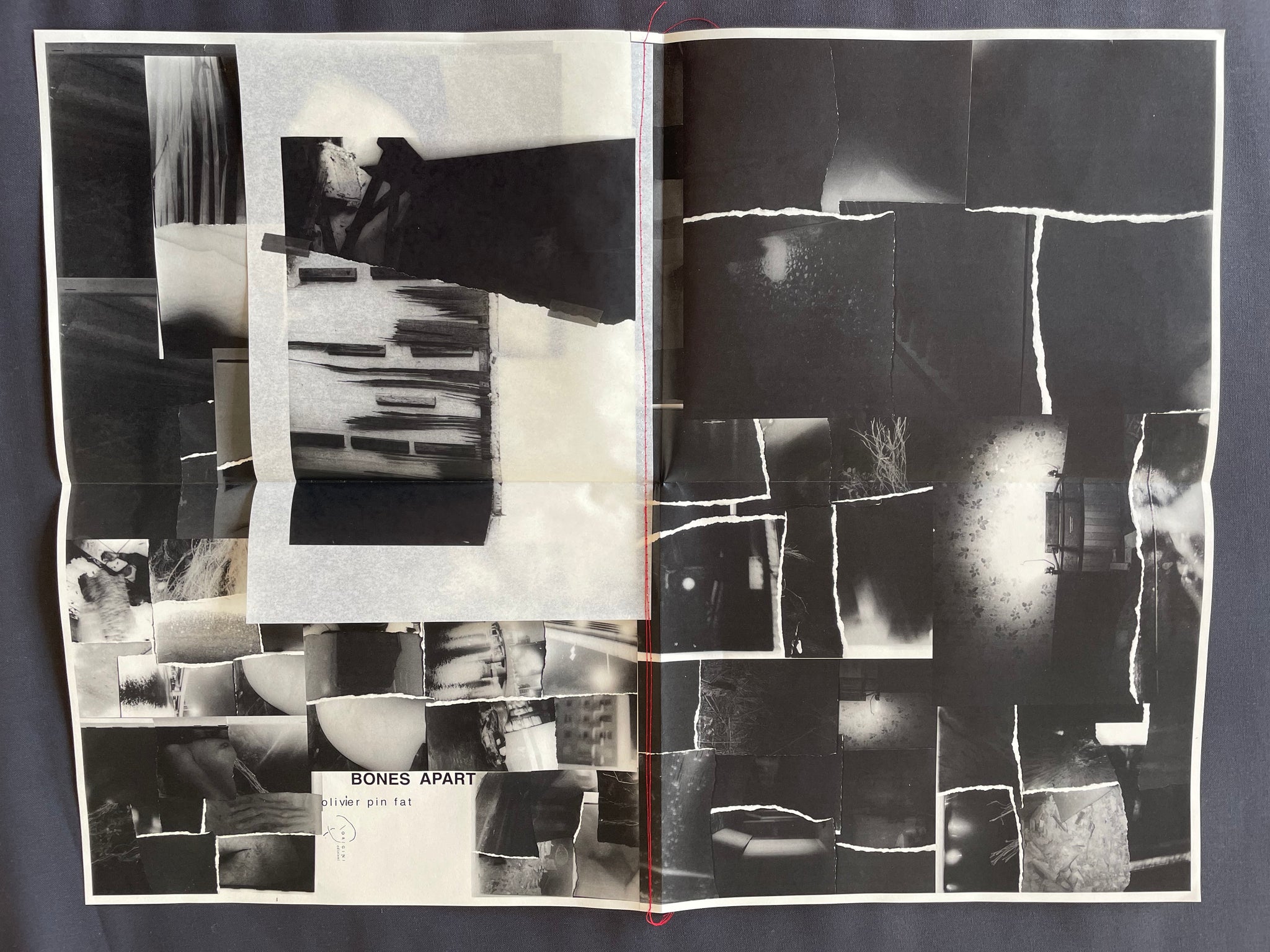 IMG_0819_1024x1024@2x