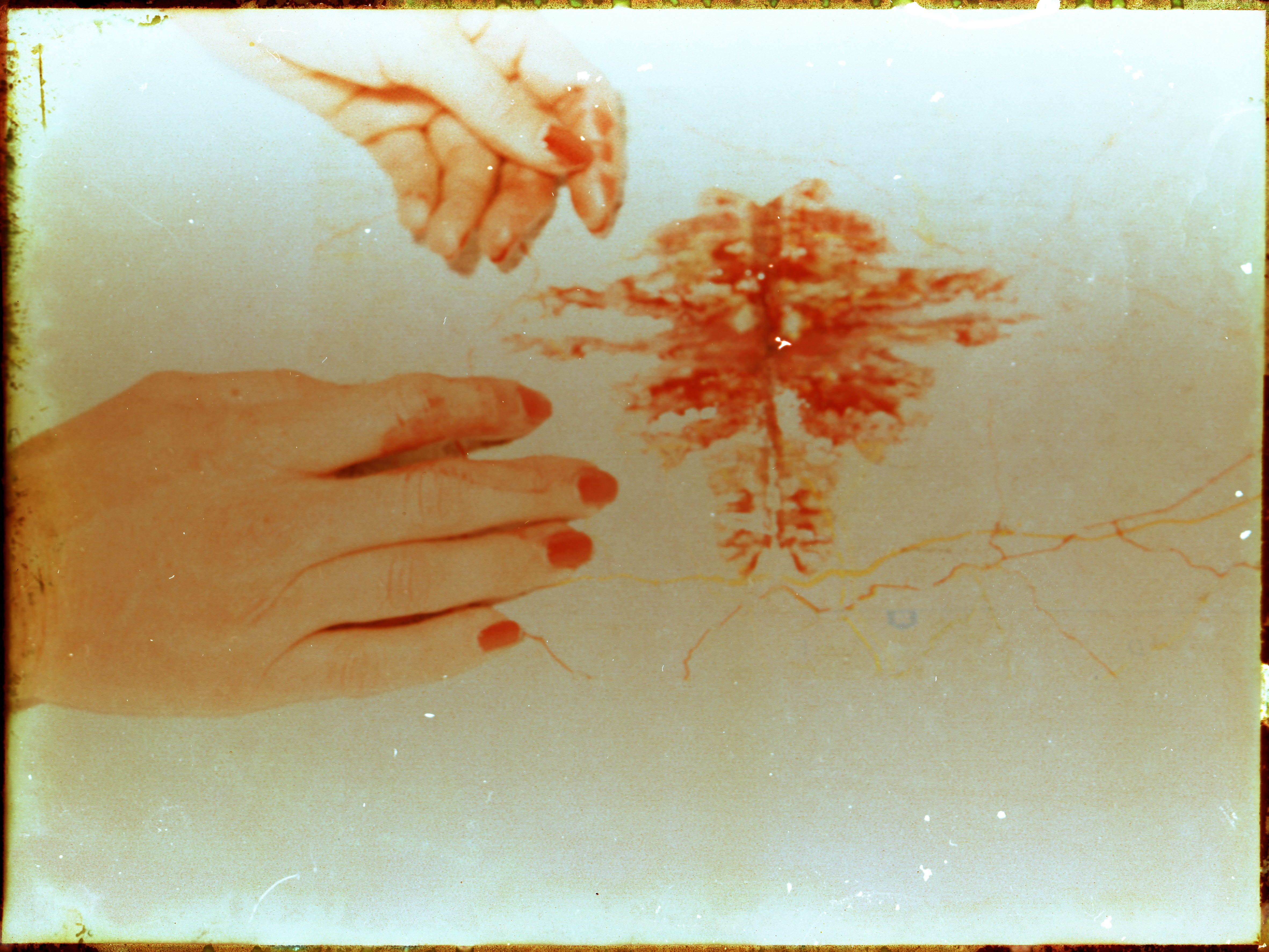 Mélanie Patris_29_Fanzine