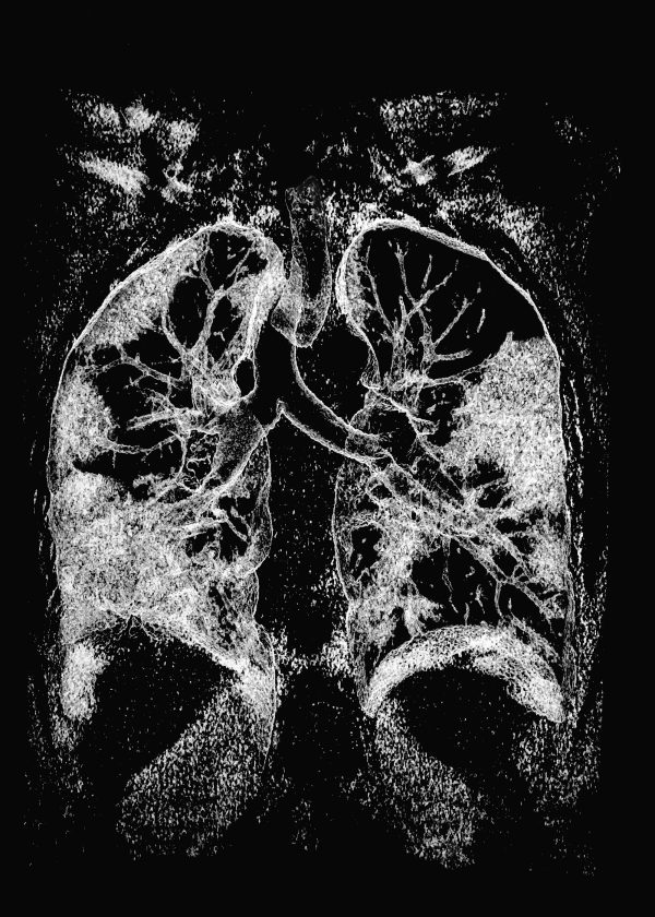 zoonose_ngs-6-600x840