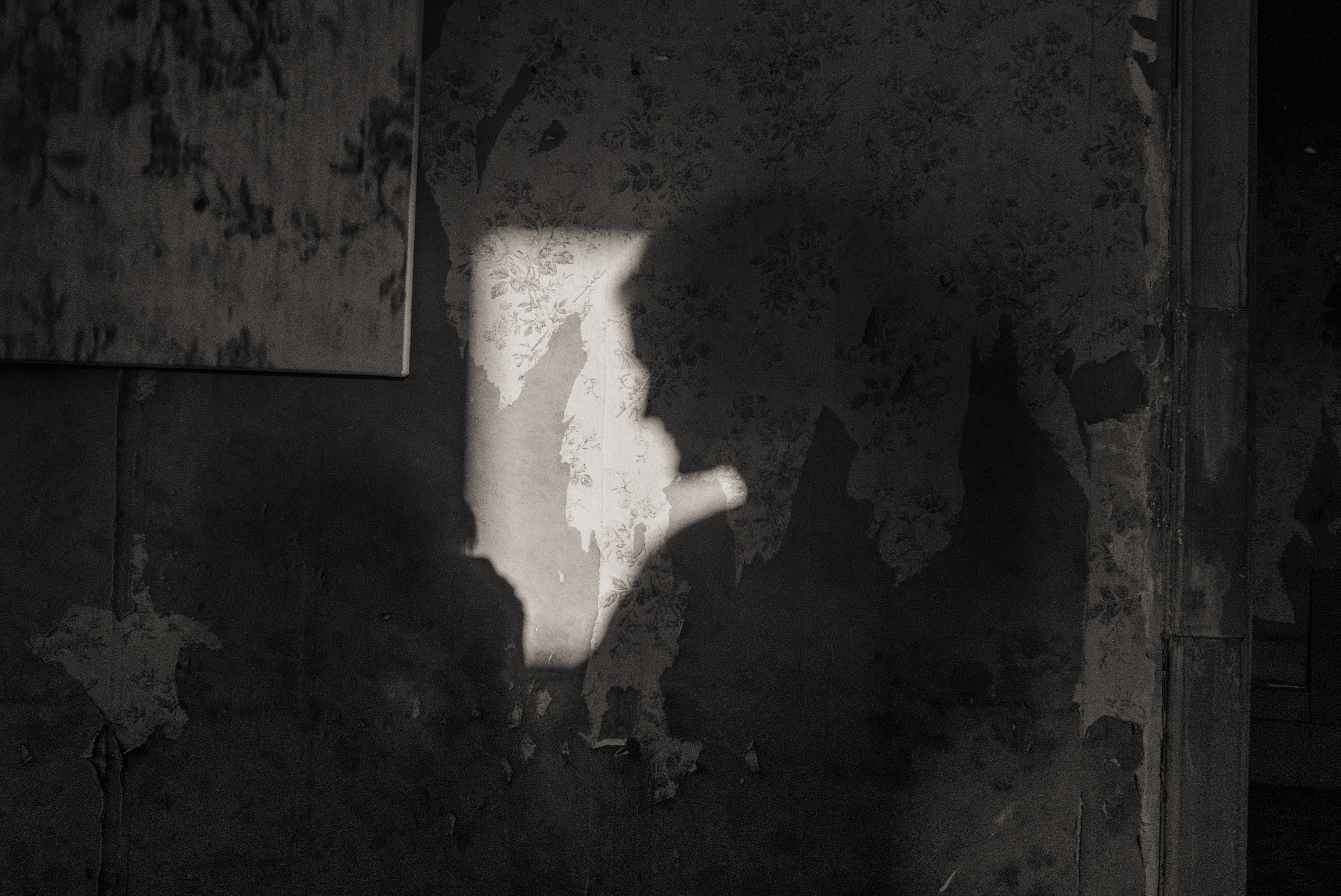 17S_Marc_Blanchet_009_Pd