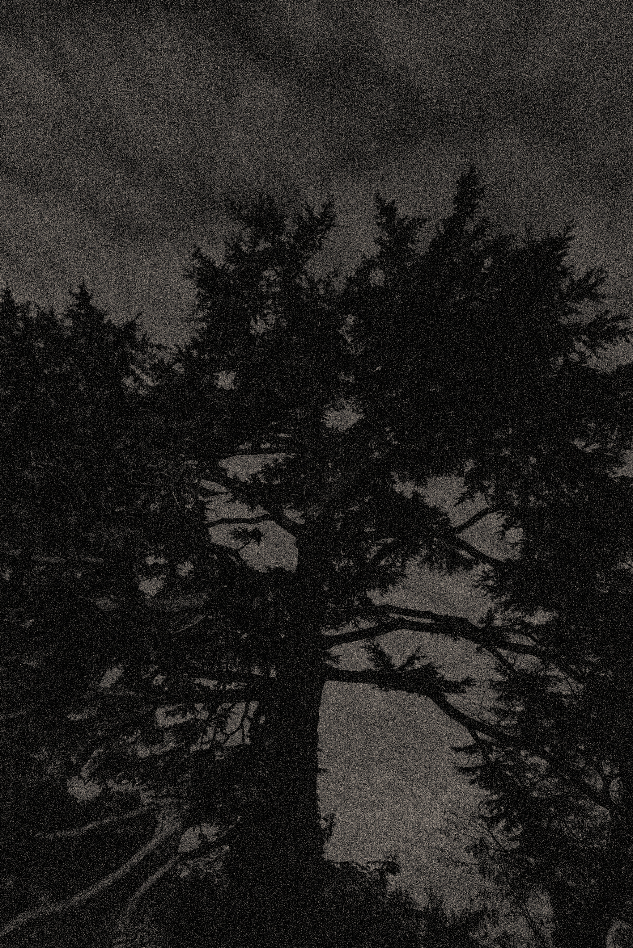 AATT_Marc_Blanchet_019