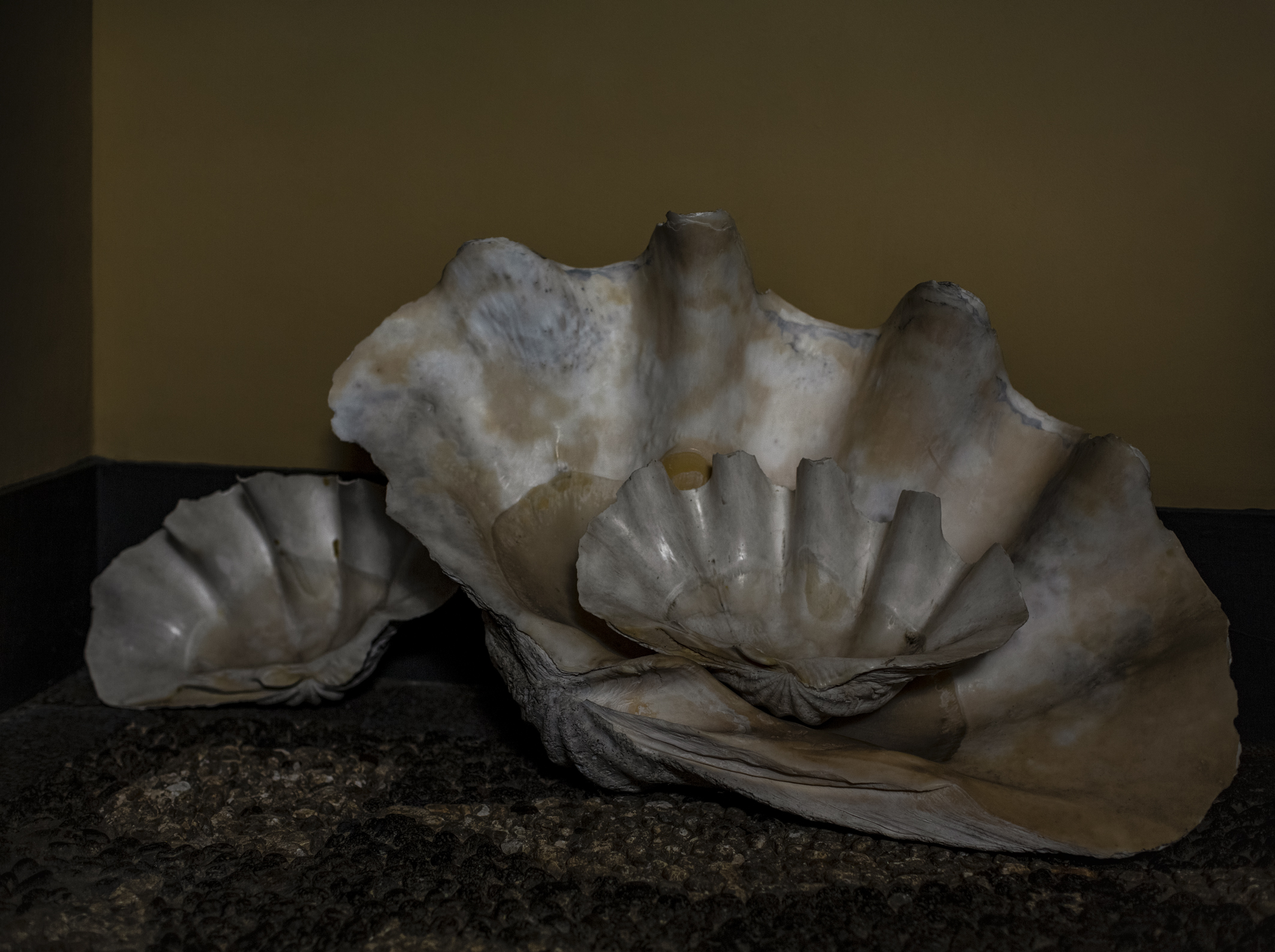 Conque, 2022, impression pigmentaire sur papier baryté, encadré, verre musée, 112 x 150 cm, Ed. 3 + 2 EA