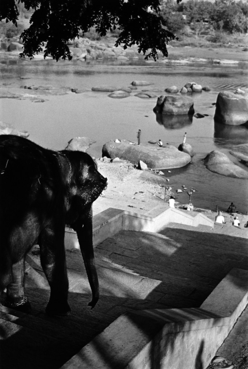 FN-2009-19-Francoise-nunez