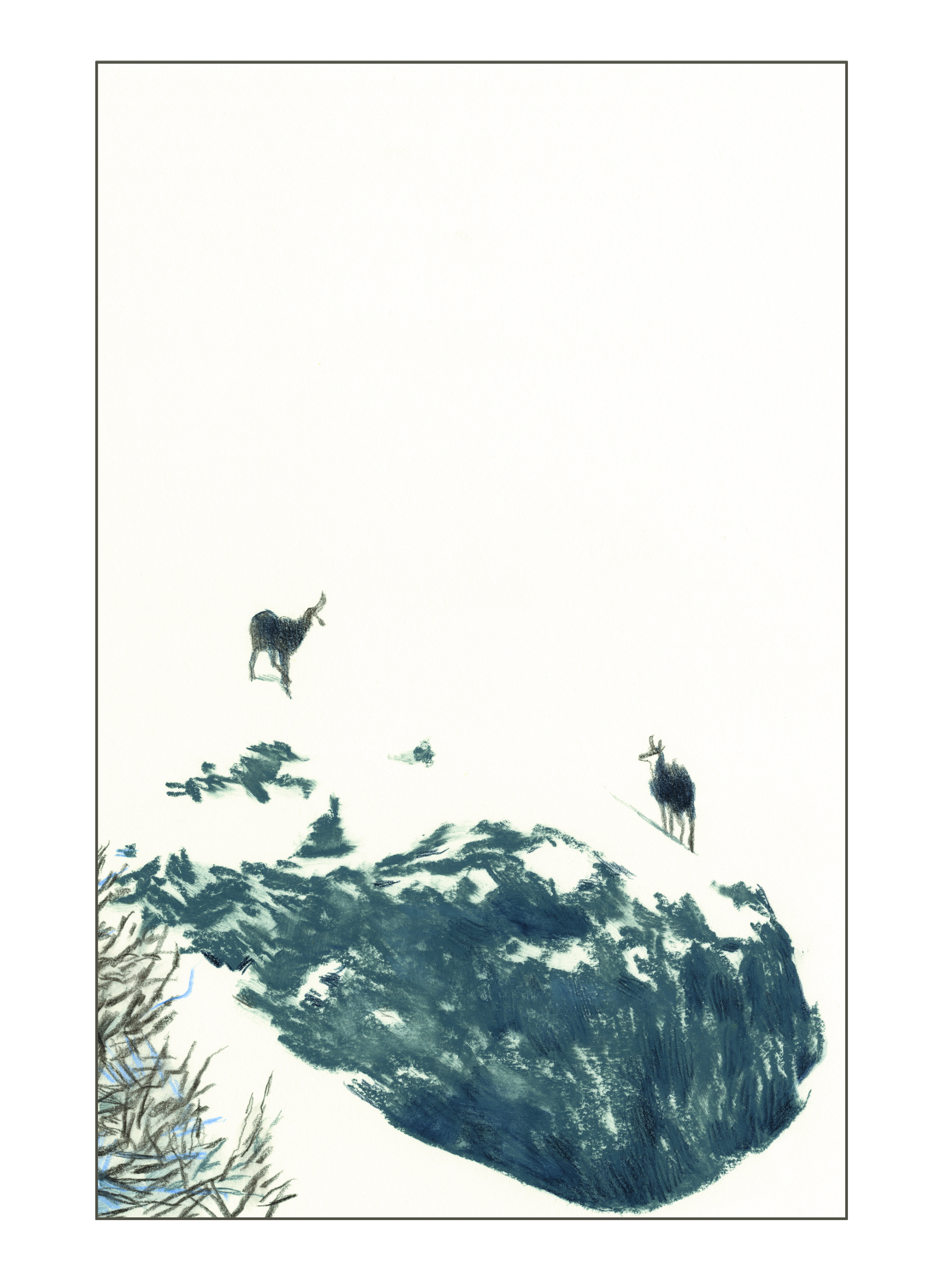 MEP_POIDS_DU_PAPILLON_10_TEL