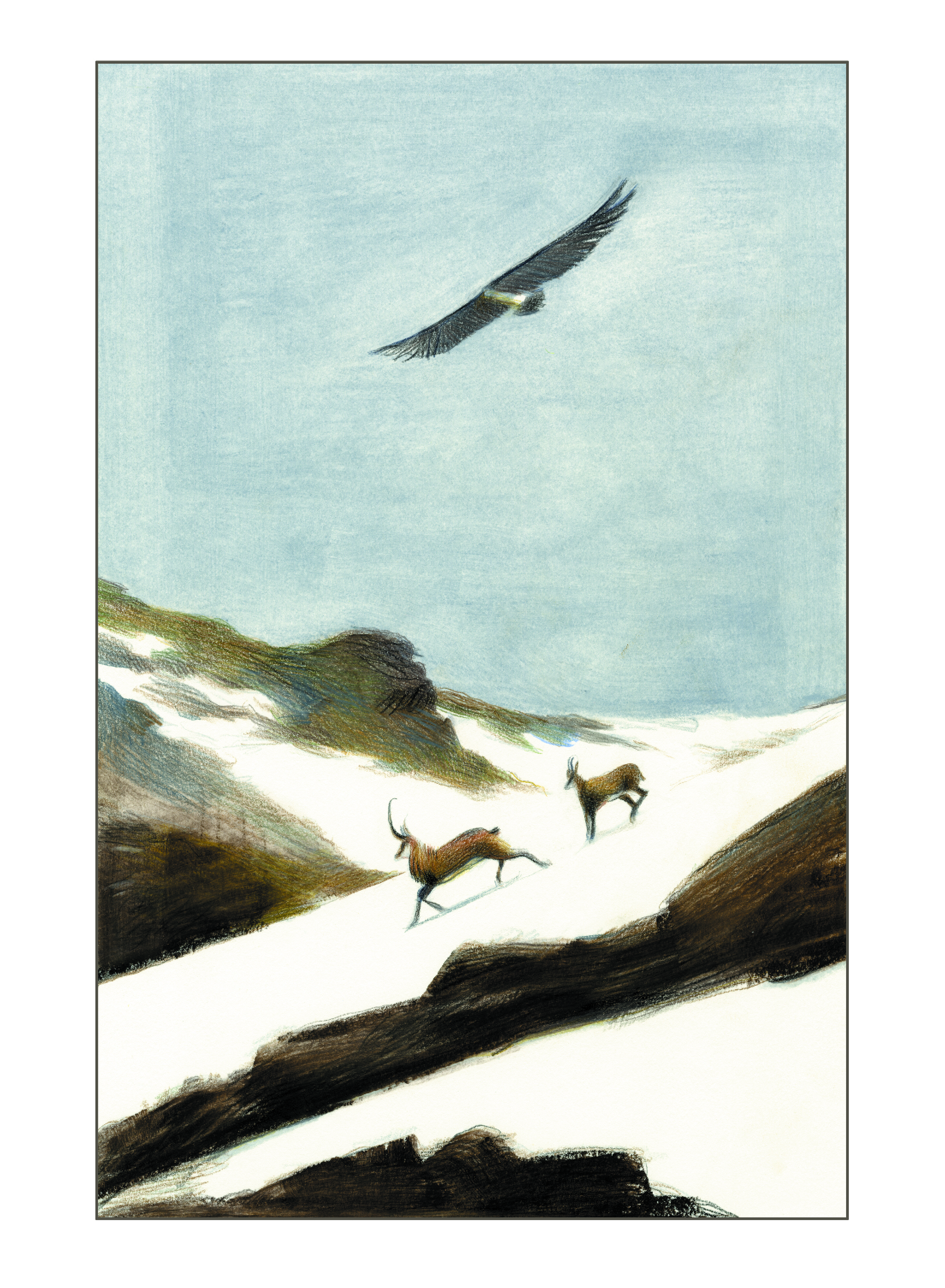 MEP_POIDS_DU_PAPILLON_8_TEL