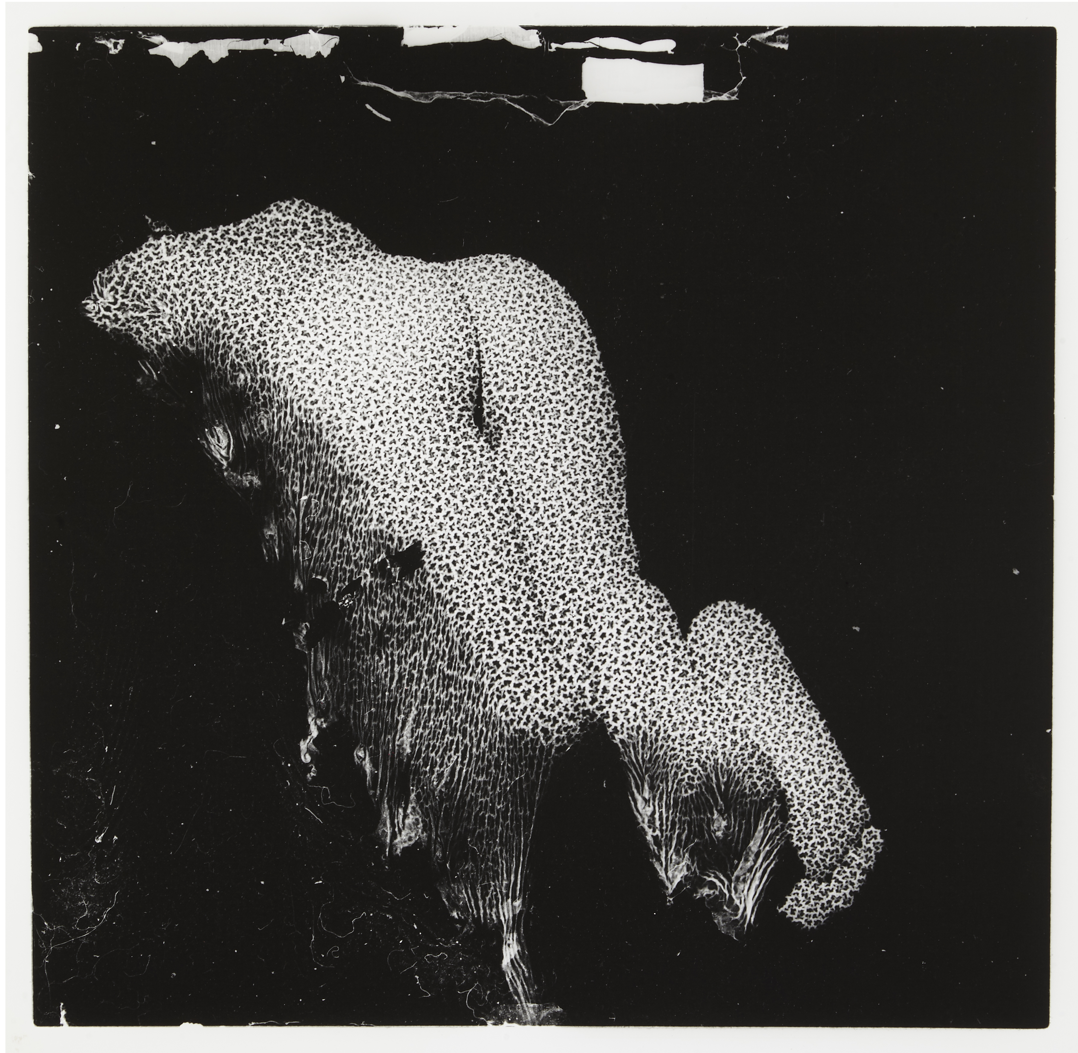 Nu coulant - thomas gosset valère - 2015