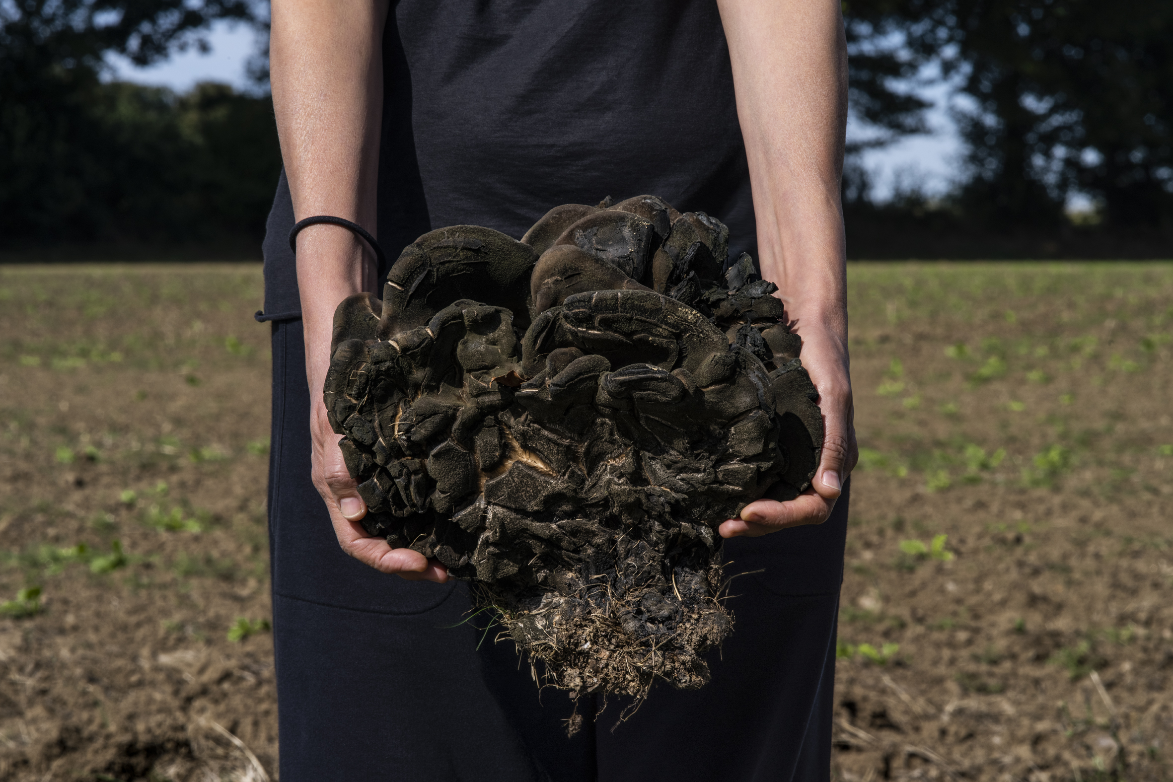 Porteuse 3, 2022, impression pigmentaire sur papier baryté, encadré, verre musée, 56 x 84cm, Ed. 3 + 2 EA
