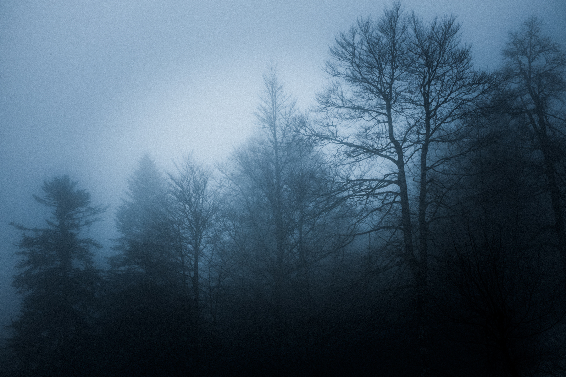 Sacre Elie Monferier (19 sur 24)