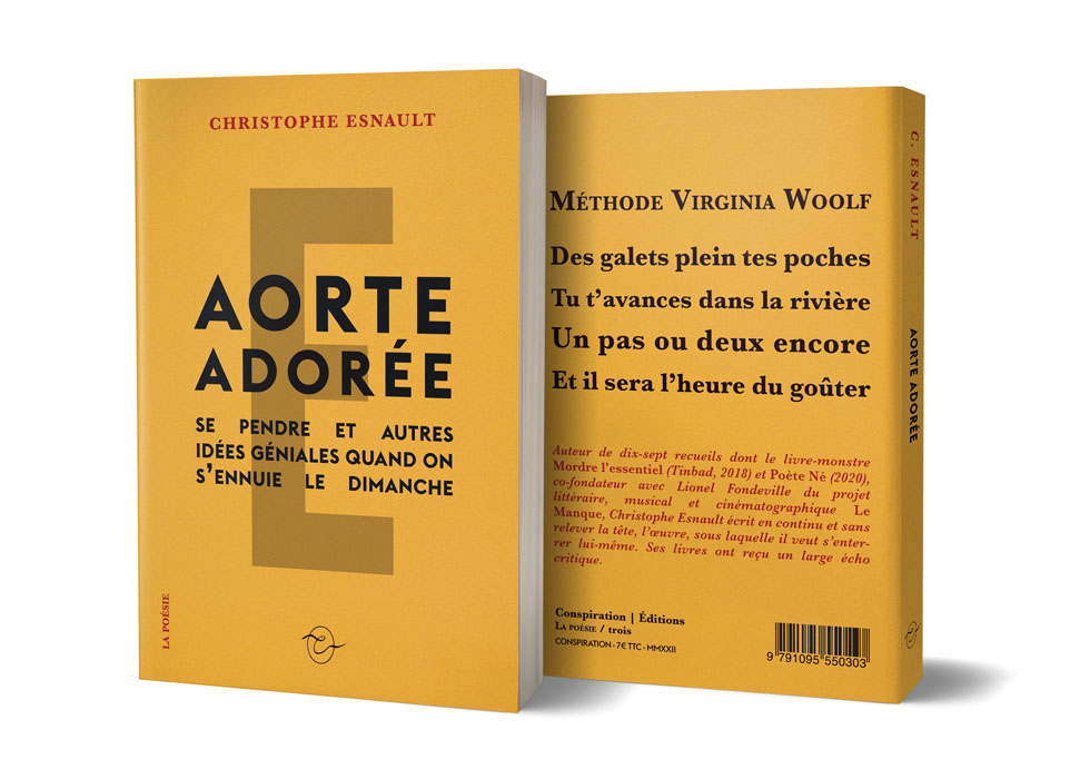 Esnault-couverture-simulation