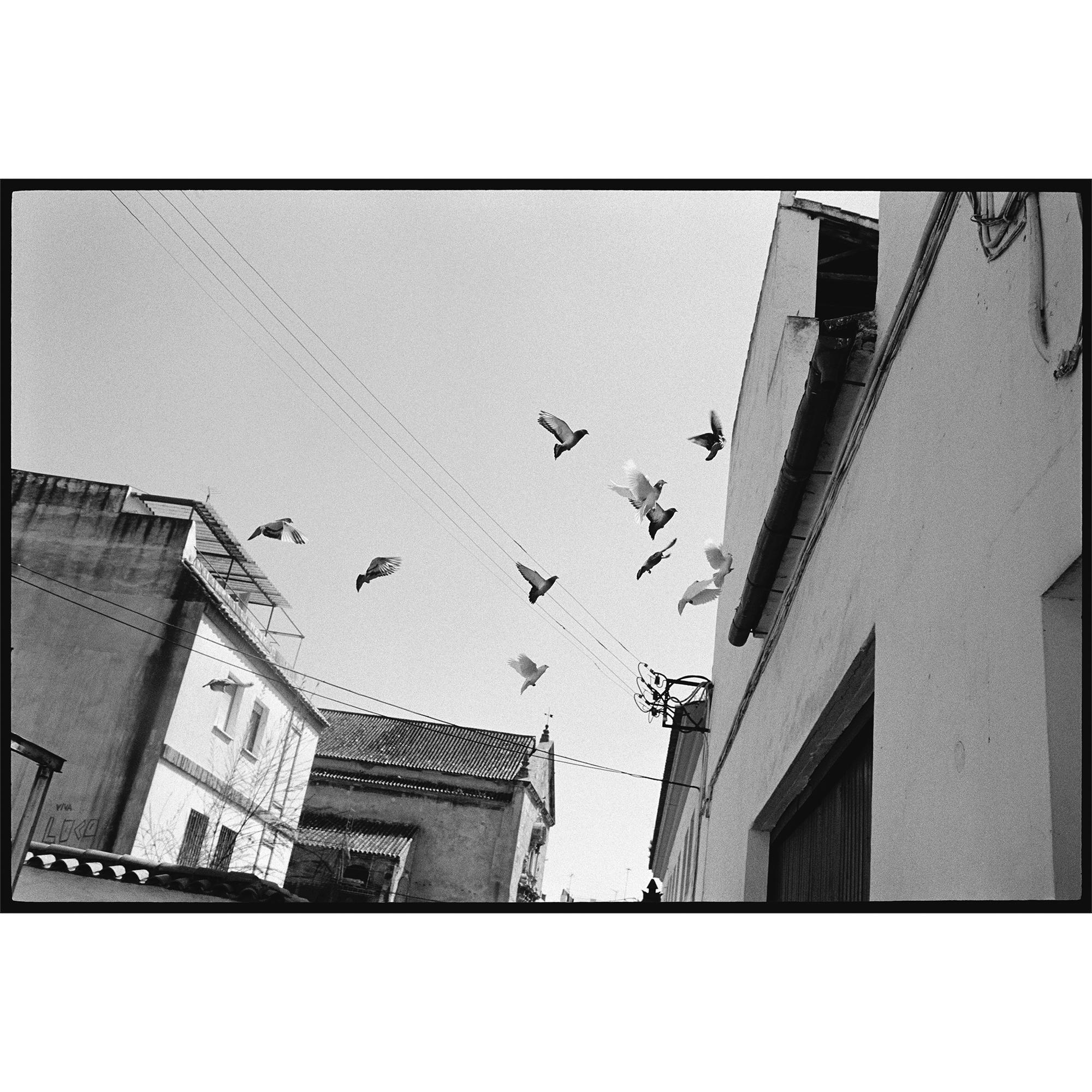 louis-vuitton-fashion-eye-cordoue-córdoba-par-miles-aldridge-livres-et-écriture--R08921_PM1_Interior view