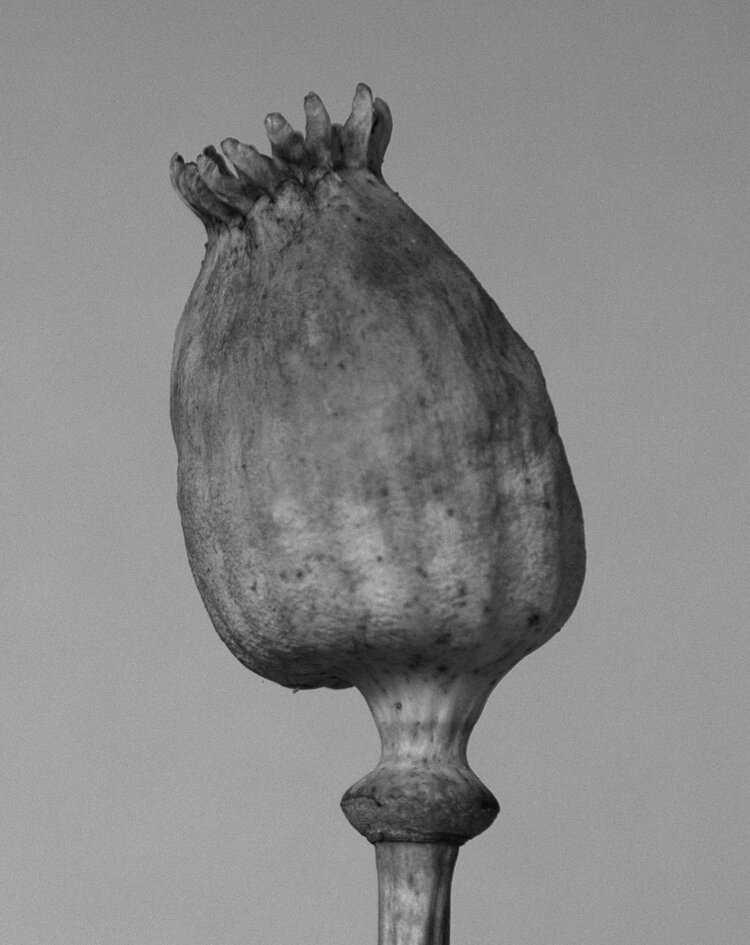 VOID_Solitude_site_04