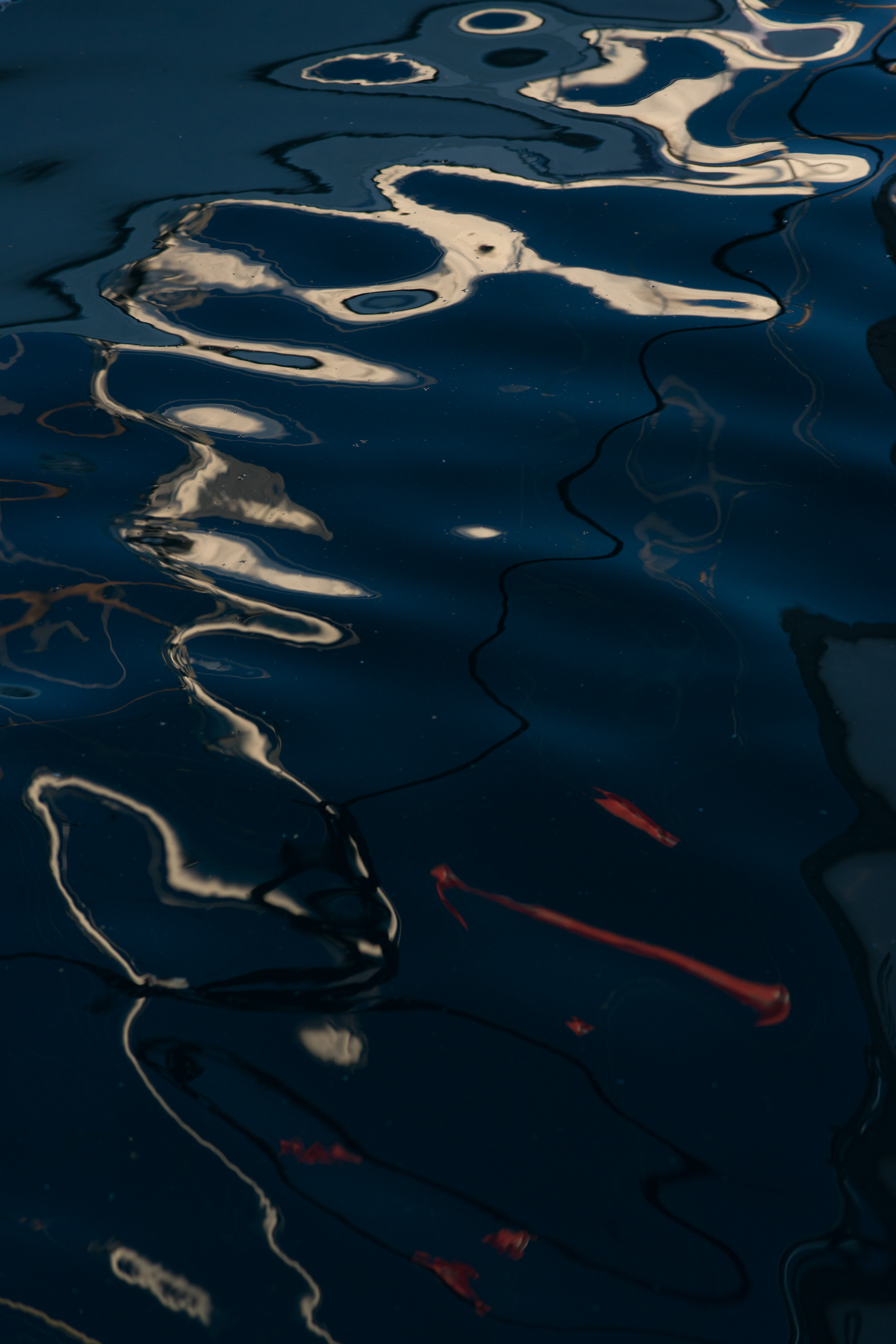 RosaCanina_MathildaOlmi_59_web